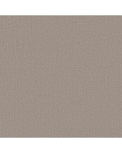 Anderson Tuftex Adair Glass Of Bubbly Carpet - ZZ364-00103