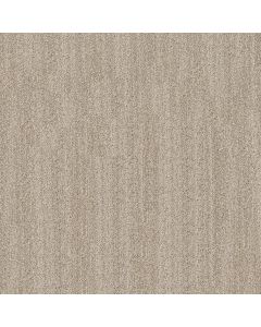 Anderson Tuftex In Tempo Almond Carpet - ZZ367-00110
