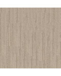 Anderson Tuftex In Tempo Buff Carpet - ZZ367-00111