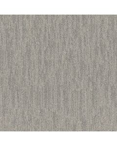 Anderson Tuftex In Tempo Coastal Carpet - ZZ367-00411
