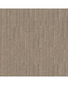 Anderson Tuftex In Tempo Cliffside Carpet - ZZ367-00710
