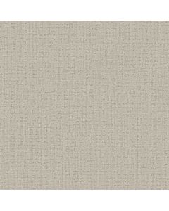 Anderson Tuftex In Step Almond Carpet - ZZ368-00110