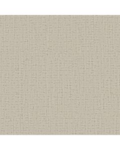 Anderson Tuftex In Step Buff Carpet - ZZ368-00111
