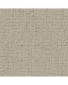 Anderson Tuftex In Step Dunes Carpet - ZZ368-00113