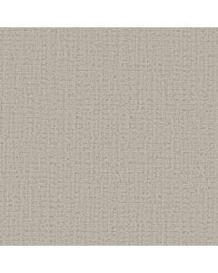 Anderson Tuftex In Step Oatmeal Carpet - ZZ368-00114