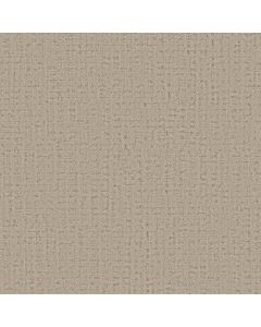 Anderson Tuftex In Step Cliffside Carpet - ZZ368-00710