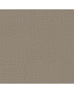 Anderson Tuftex In Step Saddle Carpet - ZZ368-00711