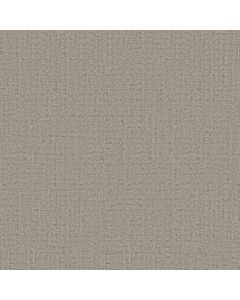 Anderson Tuftex In Step Driftwood Carpet - ZZ368-00712