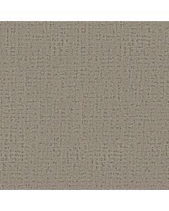 Anderson Tuftex In Step Derby Carpet - ZZ368-00713