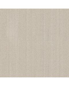 Anderson Tuftex In Rhythm Coconut Milk Carpet - ZZ369-00100