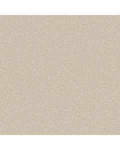Anderson Tuftex Bella Nova Light Breeze Carpet - ZZ378-00110