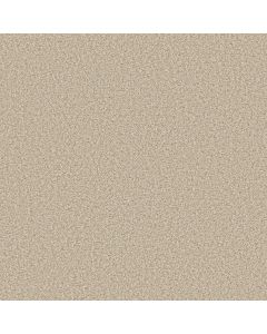 Anderson Tuftex Bella Nova Soft Linen Carpet - ZZ378-00120