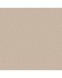 Anderson Tuftex Bella Nova Salt Air Carpet - ZZ378-00130