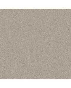 Anderson Tuftex Bella Nova Misty Dawn Carpet - ZZ378-00151