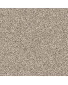 Anderson Tuftex Bella Nova Spun Cotton Carpet - ZZ378-00172