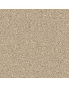 Anderson Tuftex Bella Nova Beach Grass Carpet - ZZ378-00223
