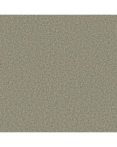 Anderson Tuftex Bella Nova Highlands Carpet - ZZ378-00310