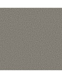 Anderson Tuftex Bella Nova Chelsea Fog Carpet - ZZ378-00544