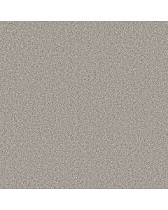 Anderson Tuftex Bella Nova Platinum Carpet - ZZ378-00552