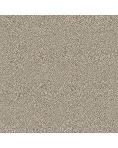 Anderson Tuftex Bella Nova Cabana Carpet - ZZ378-00710