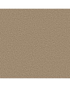 Anderson Tuftex Bella Nova Nutshell Carpet - ZZ378-00764