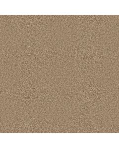 Anderson Tuftex Mira Nova Savannah Carpet - ZZ379-00230