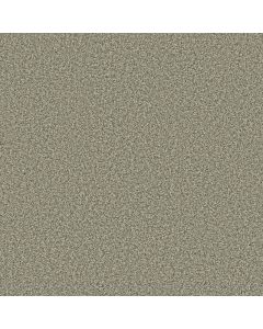 Anderson Tuftex Mira Nova Highlands Carpet - ZZ379-00310