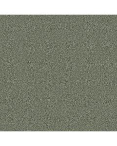 Anderson Tuftex Mira Nova Oak Grove Carpet - ZZ379-00320