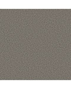 Anderson Tuftex Mira Nova Sable Carpet - ZZ379-00550