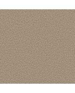 Anderson Tuftex Mira Nova Cascade Carpet - ZZ379-00724