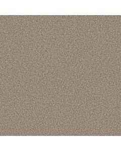 Anderson Tuftex Mira Nova Pashmina Carpet - ZZ379-00754