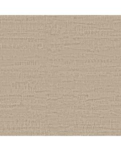 Anderson Tuftex Arbor Seashell Carpet - ZZ389-00101