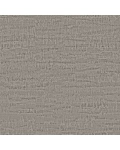 Anderson Tuftex Arbor Pewter Carpet - ZZ389-00500