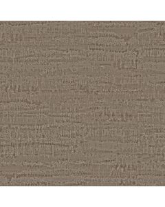 Anderson Tuftex Arbor Driftwood Carpet - ZZ389-00700