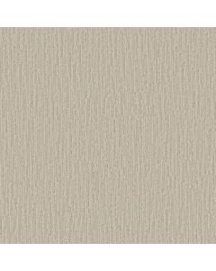 Anderson Tuftex Stitch Seashell Carpet - ZZ390-00101