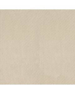 Anderson Tuftex Aperture Buff Ivory Carpet - ZZ391-00102