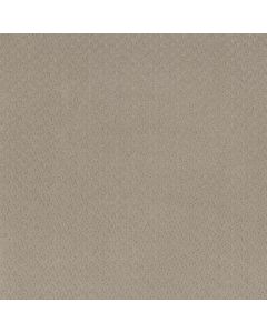 Anderson Tuftex Aperture Flax Carpet - ZZ391-00105