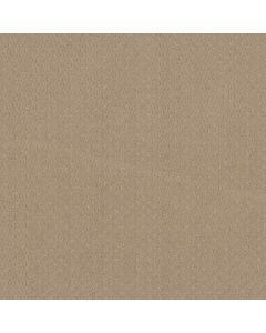 Anderson Tuftex Aperture Warm Beige Carpet - ZZ391-00107