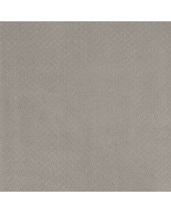 Anderson Tuftex Aperture French Grey Carpet - ZZ391-00500