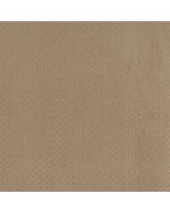 Anderson Tuftex Aperture Honey Carpet - ZZ391-00700