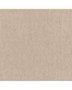 Anderson Tuftex Silhouette Ecru Carpet - ZZ392-00103