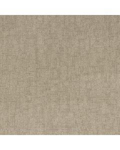 Anderson Tuftex Silhouette Soft Tan Carpet - ZZ392-00108