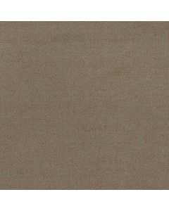 Anderson Tuftex Silhouette Meadow Carpet - ZZ392-00301