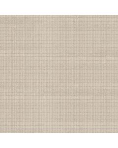 Anderson Tuftex Radiance Parchment Carpet - ZZ393-00102