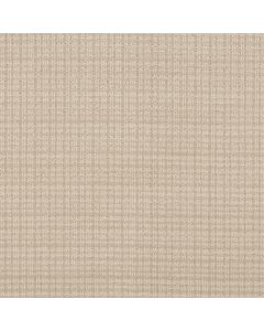 Anderson Tuftex Radiance Ecru Carpet - ZZ393-00103