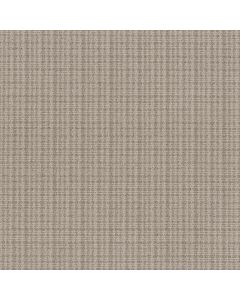Anderson Tuftex Radiance Mushroom Carpet - ZZ393-00106