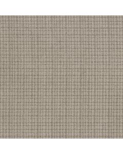 Anderson Tuftex Radiance Taupe Haze Carpet - ZZ393-00107
