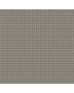 Anderson Tuftex Radiance Graphite Carpet - ZZ393-00500