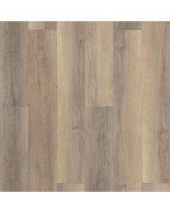 BASTION ELM, 02095, CORETEC PRO PLUS HD 9, VV488
