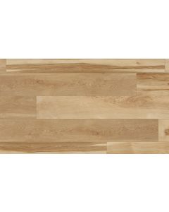 BLENDED PRALINE, 05021, CORETEC PLUS HD, VV704